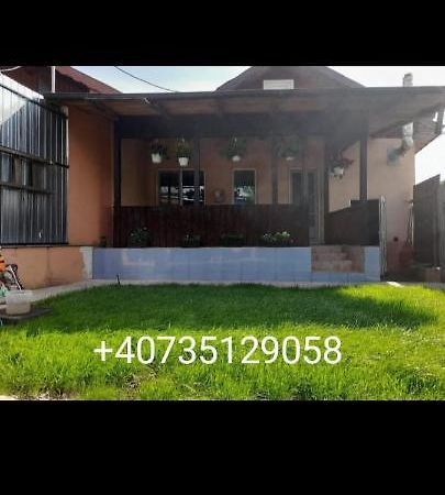 Central City House Tulcsa Kültér fotó