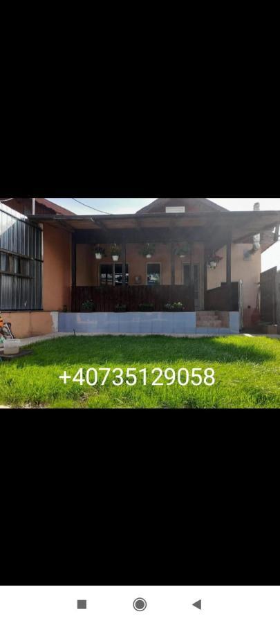 Central City House Tulcsa Kültér fotó
